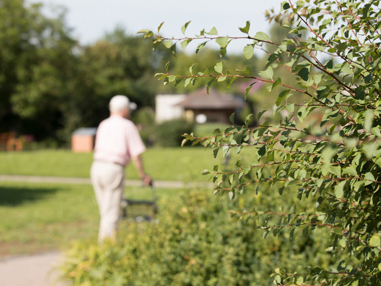 Mann geht mit Rollator im Park - Immanuel Ambulante Pflege Schmalkalden-Südthüringen Mann geht mit Rollator im Park - Immanuel Ambulante Pflege Schmalkalden-Südthüringen
